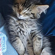 Atlas is registered to the contest to win money with this photo: