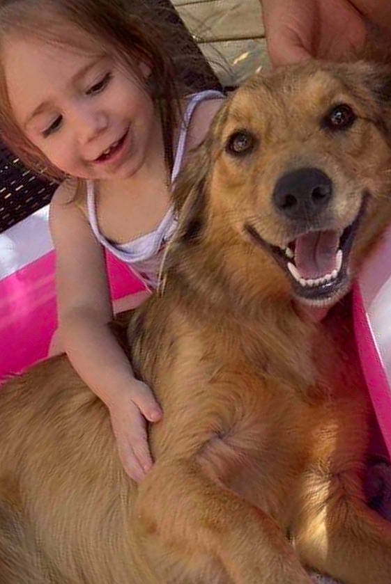 Oria participe au concours pour gagner de l'argent avec cette photo : carnivore, child, companion_dog, dog, dog_breed, ear, fawn, flooring, fun, fur, happy, iris, nose, sitting, smile, snout, sporting_group, toddler, whiskers, working_animal