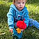 Emmett