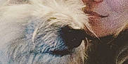 Manouche participe au concours pour gagner de l'argent avec cette photo :