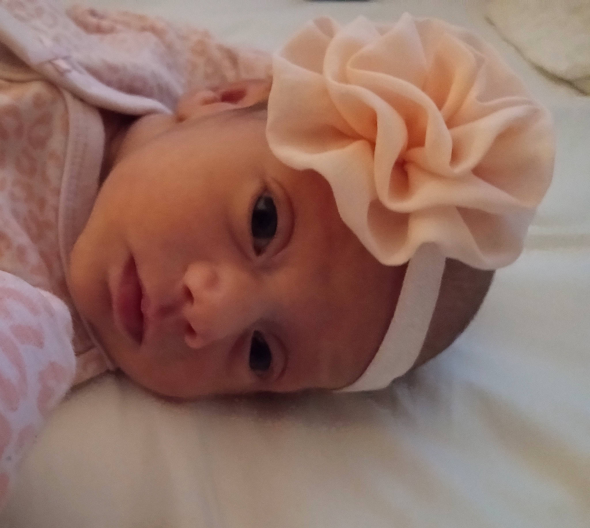 Natalie Rayne joined the competition — help win amazing prizes! baby, baby_toddler_clothing, cheek, child, comfort, ear, eyelash, fashion_accessory, hair_accessory, headband, headgear, headpiece, headwear, linens, lip, nose, person, petal, rose, skin