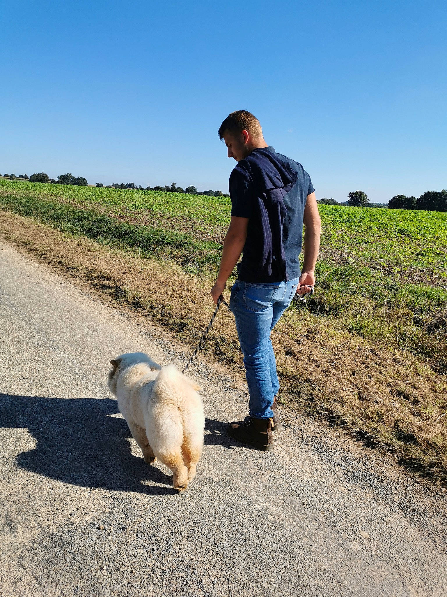 Sweet participe au concours pour gagner de l'argent avec cette photo : asphalt, canidae, carnivore, companion_dog, dog, dog_breed, grass, grassland, horizon, landscape, leash, people_in_nature, plant, road, road_surface, shadow, sky, soil, sporting_group, tail