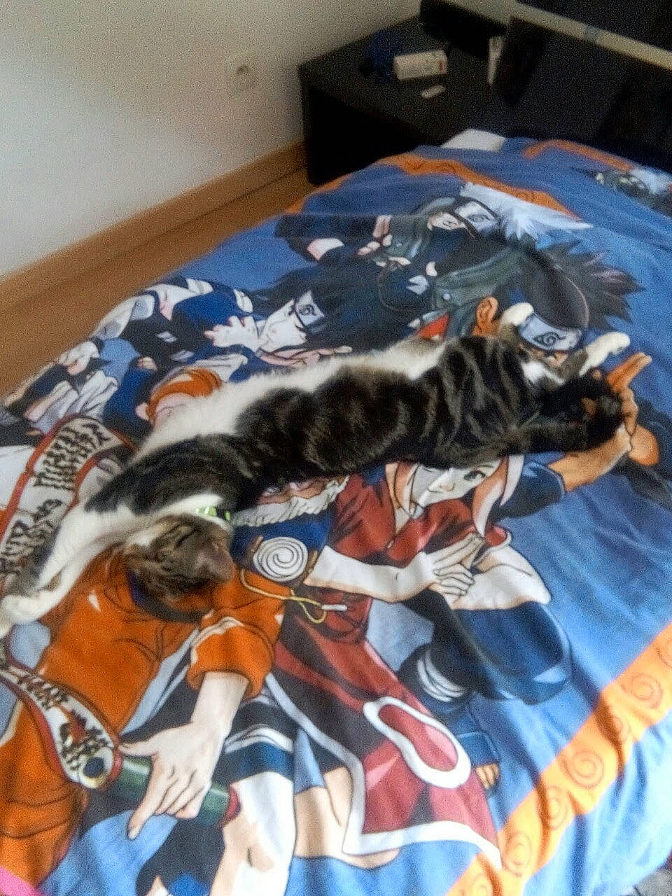 Théodore participe au concours pour gagner de l'argent avec cette photo : bed, bed_sheet, blue, carnivore, cat, comfort, dog_breed, domestic_short_haired_cat, felidae, fur, linens, mammal, pattern, room, sleeve, small_to_medium_sized_cats, tail, textile, vertebrate, whiskers