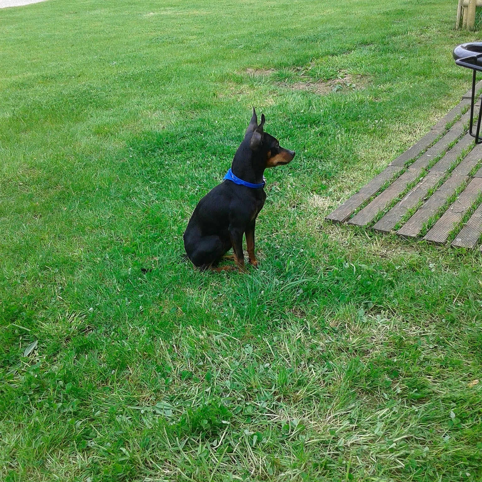 Prince