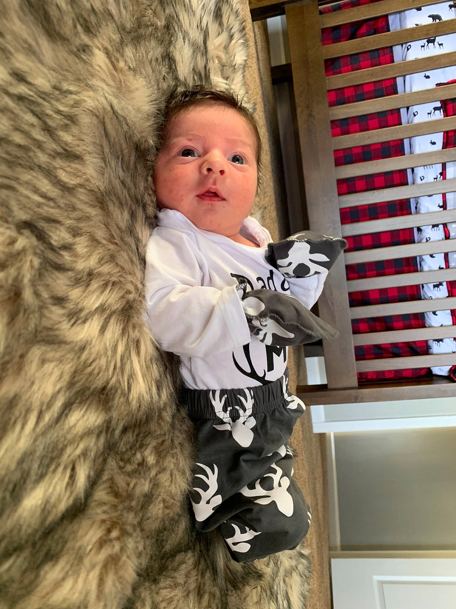 Jonathon joined the competition — help win amazing prizes! baby, child, felidae, fun, fur, fur_clothing, jacket, military_camouflage, pattern, person, room, sitting, small_to_medium_sized_cats, soldier, textile, toddler, tree, whiskers, window_blind, window_covering