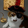 cat, pirate_hat, eye_patch, feather, treasure_map, compass, vintage, costume, pet, animal, portrait, indoor, brown_and_white, whiskers, feline, accessory, adventure, nautical, close_up, cute