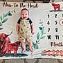 Ryder is registered to the contest to win money with this photo: baby, infant, smiling, overalls, milestone_blanket, numbers, circle, cow_illustration, greenery, carpet, months, cute, child, lying_down, happy, portrait, indoors, clothing, baby_boy, decor