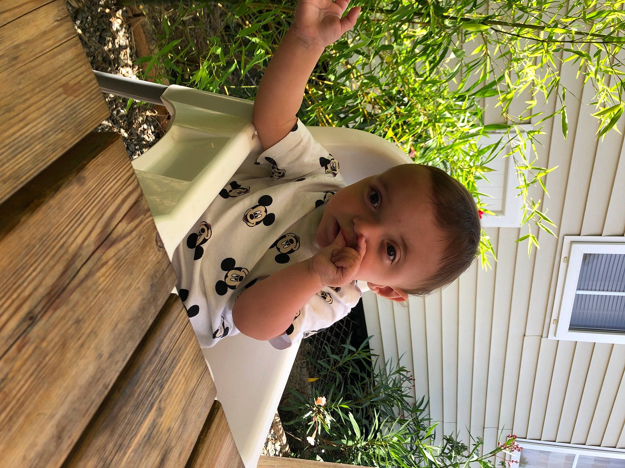 Tiago a rejoint le concours — aidez-le/la à gagner de superbes lots ! child, fun, garden, grass, happy, house, leisure, pattern, person, plant, play, t_shirt, toddler, tree, vacation, window, wood, wood_stain, yard