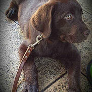 Jaya a rejoint le concours — aidez-le/la à gagner de superbes lots !