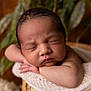 Maël a rejoint le concours — aidez-le/la à gagner de superbes lots ! baby, newborn, sleeping, infant, face, arms, blanket, basket, closeup, soft, peaceful, resting, skin, head, knitted, cozy, indoors, portrait, child, cute