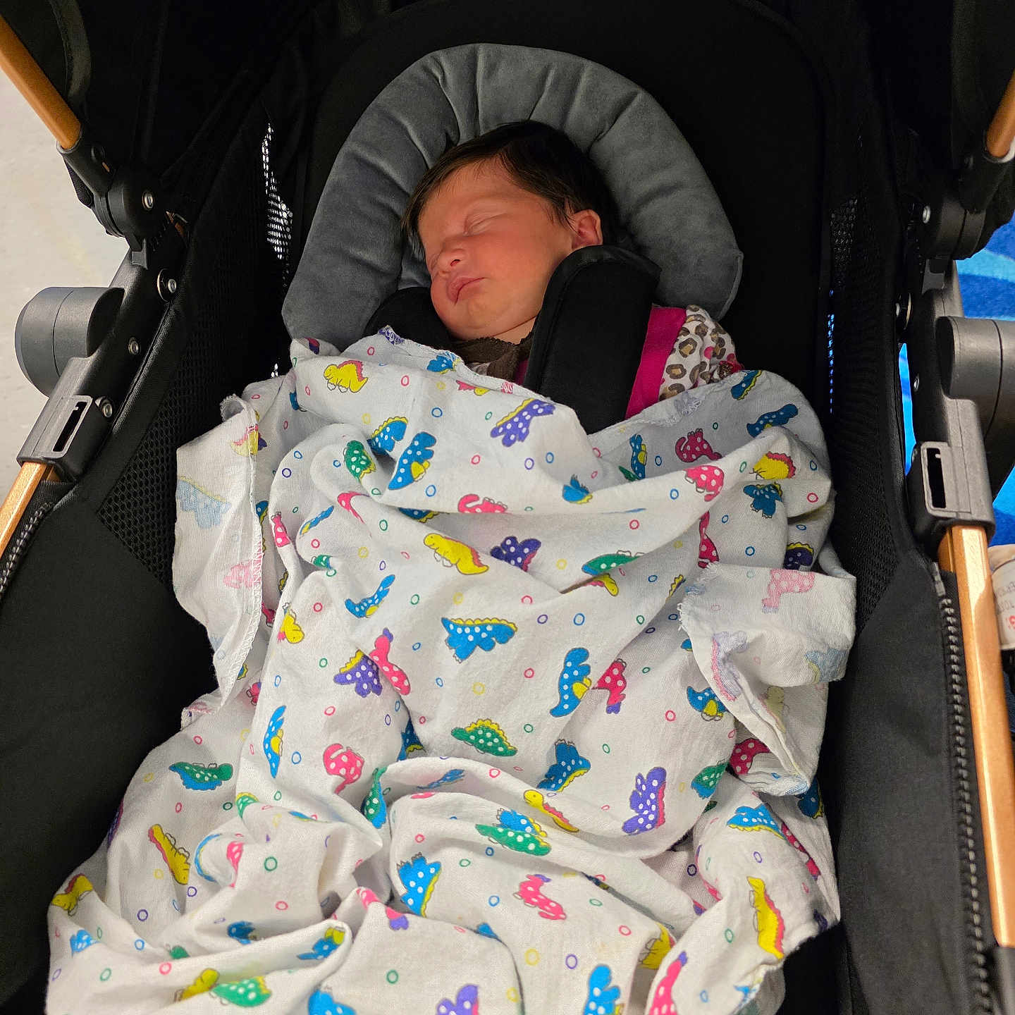 Ellie joined the competition — help win amazing prizes! newborn, baby, blanket, butterfly_pattern, stroller, sleeping, child, infant, cozy, portrait, black, wooden, fabric, cute, peaceful, indoors, resting, soft, wrapped, person