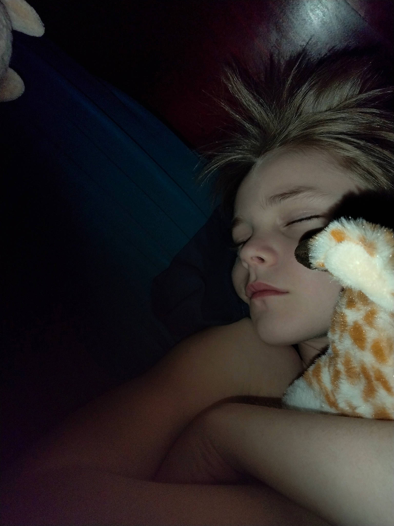 Lucas is registered to the contest to win money with this photo: black_hair, blond, brown_hair, comfort, eye, eyebrow, eyelash, felidae, flash_photography, fur, gesture, human_body, human_leg, jaw, linens, lip, long_hair, neck, person, toy