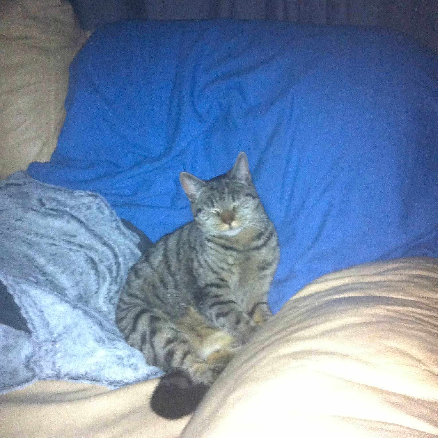 Smokey Joe is registered to the contest to win money with this photo: