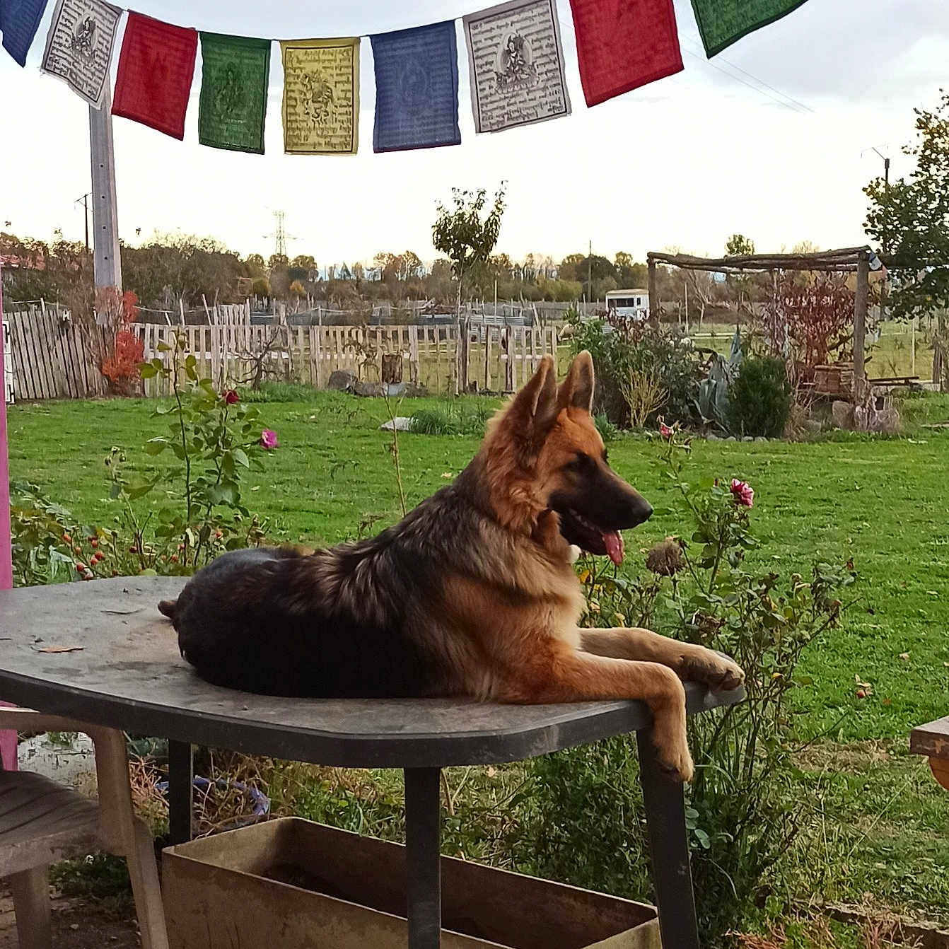 Telma