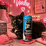 cat, tortoiseshell_cat, drink_can, beer_can, pink, vase, roses, fairy_lights, table, blanket, book, heart_shaped_tag, decor, cozy, indoor, pet, cute, animal, feline, resting