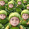 child, cabbage, field, green, leaf, vegetable, plant, nature, face, hat, outdoor, garden, rows, cute, funny, fantasy, multiple, portrait, young, leafy