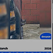 Greysin is registered to the contest to win money with this photo: animal, background, brick_wall, car, cat, concrete, curious, daylight, ears, eyes, gray_cat, head, outdoor, peeking, pet, quiet, side_view, street, urban, vehicle