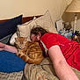 Floki Welsh joined the competition — help win amazing prizes! arm, bed, blanket, cat, cozy, curled_up, fur, ginger_cat, head, home, indoor, lamp, nap, nightstand, person, pillow, red_shirt, relaxing, sleeping, water_bottles