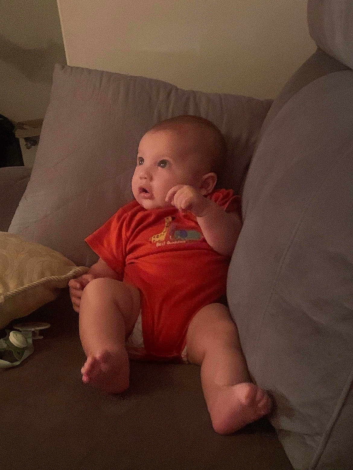 Mateo is registered to the contest to win money with this photo: abdomen, baby, baby_toddler_clothing, cheek, comfort, couch, elbow, eye, finger, flooring, foot, human_leg, iris, knee, lap, person, skin, thigh, toddler, trunk