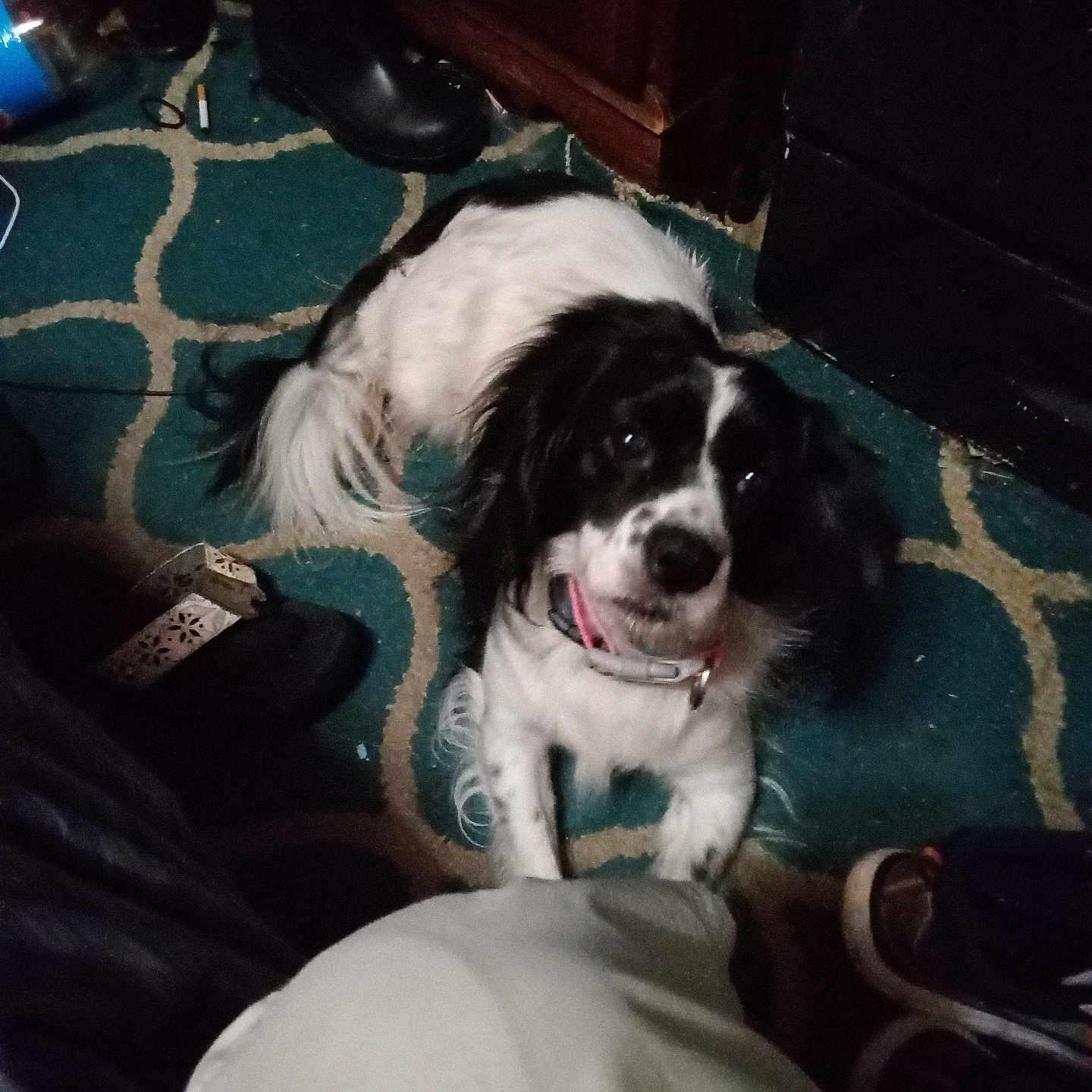 Bella