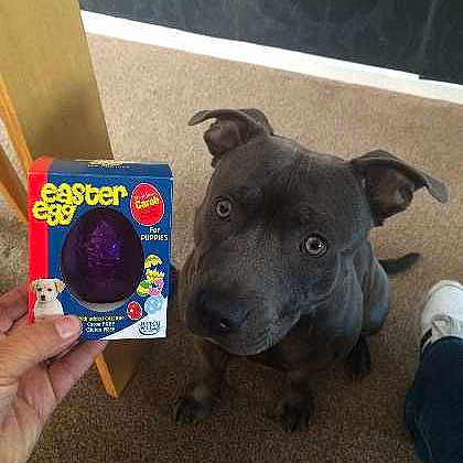 Luis is registered to the contest to win money with this photo: