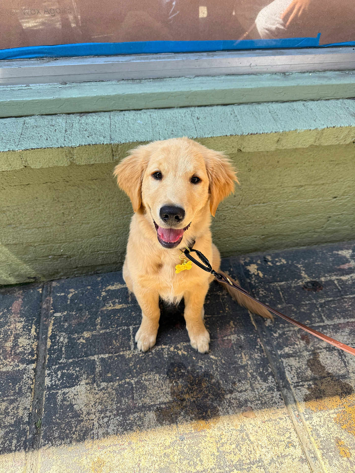 Milo