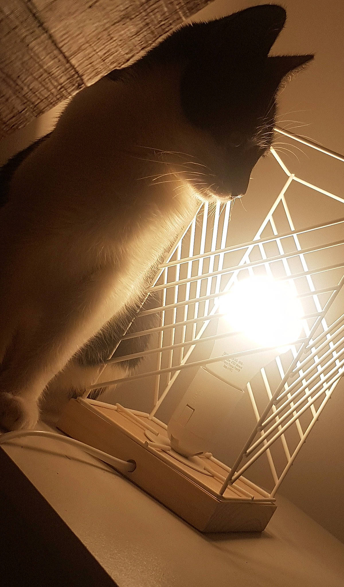 Paupiette a rejoint le concours — aidez-le/la à gagner de superbes lots ! architecture, design, light, photography, reflection, shadow