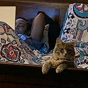 Arya is registered to the contest to win money with this photo: cat, person, bed, blanket, patterned_blanket, headboard, indoor, resting, relaxed, feline, animal, furniture, window, curtains, sleepwear, lying_down, paw, looking, cozy, home
