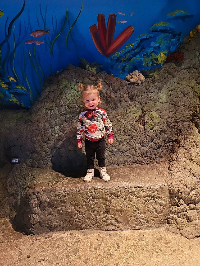 Kiya joined the competition — help win amazing prizes! art, arthropod, baby, blue, electric_blue, fun, grass, jacket, joy, landscape, leisure, nature, person, rock, sand, shadow, soil, tints_and_shades, toddler, tree