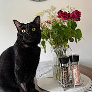Oreo is registered to the contest to win money with this photo: black_cat, cat, yellow_eyes, wooden_table, vase, flowers, red_roses, white_flowers, salt_grinder, pepper_grinder, table_runner, decorative_clock, indoor, pet, domestic_animal, green_leaves, glass_vase, still_life, curious_cat, home_decor