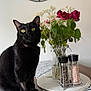 black_cat, cat, yellow_eyes, wooden_table, vase, flowers, red_roses, white_flowers, salt_grinder, pepper_grinder, table_runner, decorative_clock, indoor, pet, domestic_animal, green_leaves, glass_vase, still_life, curious_cat, home_decor