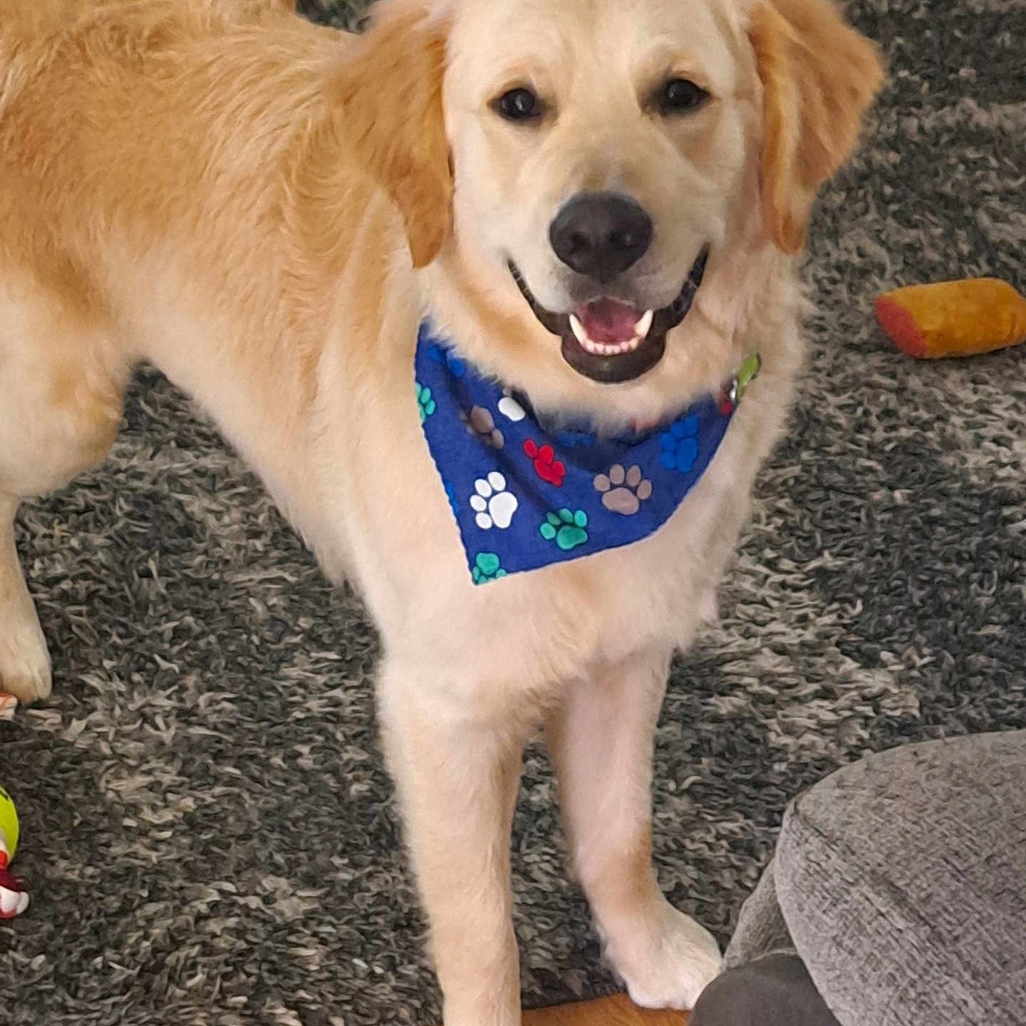 Max