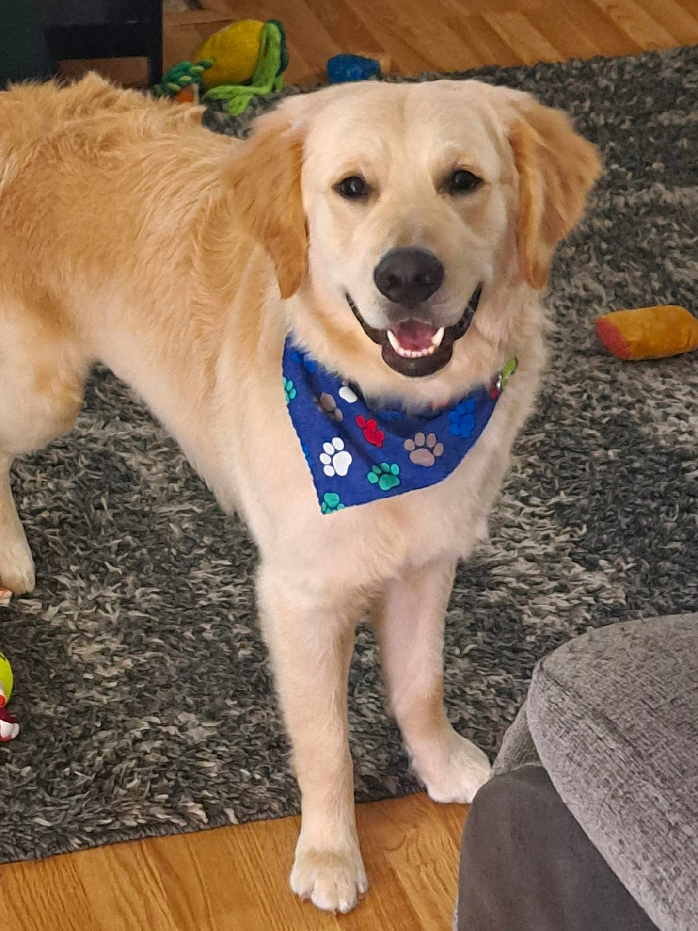 Max