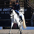 Laetitia A.