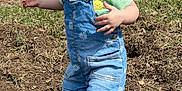 Hadleigh is registered to the contest to win money with this photo: barefoot, child, cute, daylight, denim_overalls, dirt, exploring, grass, green_shirt, house, nature, outdoor, person, pony_tail, portrait, suburban, sunny, toddler, trees, young_child