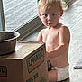 toddler, child, diaper, box, cardboard, uhual, floor, wooden_floor, indoor, window, glass_door, bowl, curious, baby, person, sitting, light, natural_light, home, expression