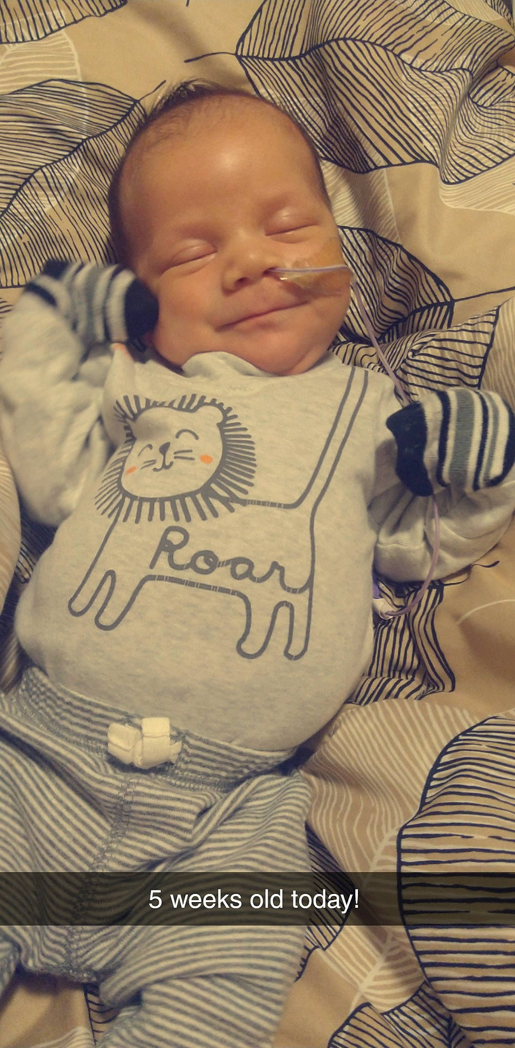 Leonardo is registered to the contest to win money with this photo: arm, baby, baby_safety, baby_sleeping, baby_toddler_clothing, cheek, child, chin, comfort, eye, facial_expression, happy, head, linens, nose, pattern, person, skin, sleeve, textile