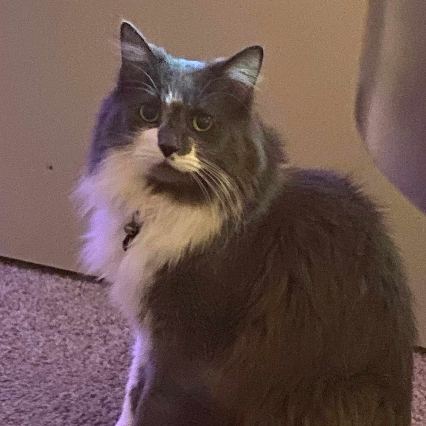 Walter