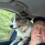 Kip Jones is registered to the contest to win money with this photo: man, dog, australian_shepherd, car_interior, window, seat, collar, pet, animal, face, shoulder, blue_shirt, cap, beard, fur, nature, blurred_background, travel, transportation, companion