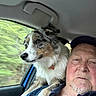 man, dog, australian_shepherd, car_interior, window, seat, collar, pet, animal, face, shoulder, blue_shirt, cap, beard, fur, nature, blurred_background, travel, transportation, companion