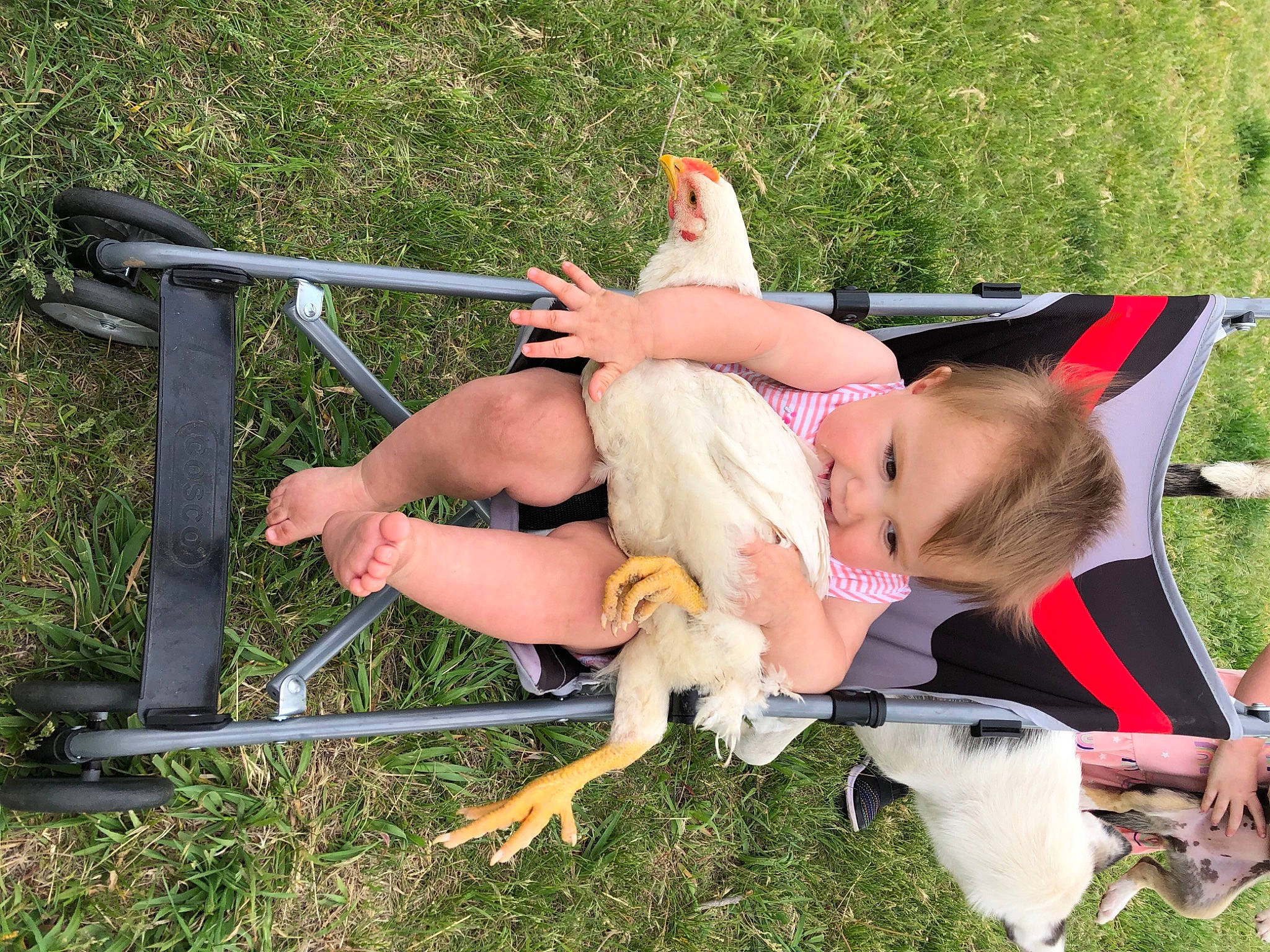 Lenora is registered to the contest to win money with this photo: fawn, person