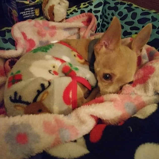 Lily Mae