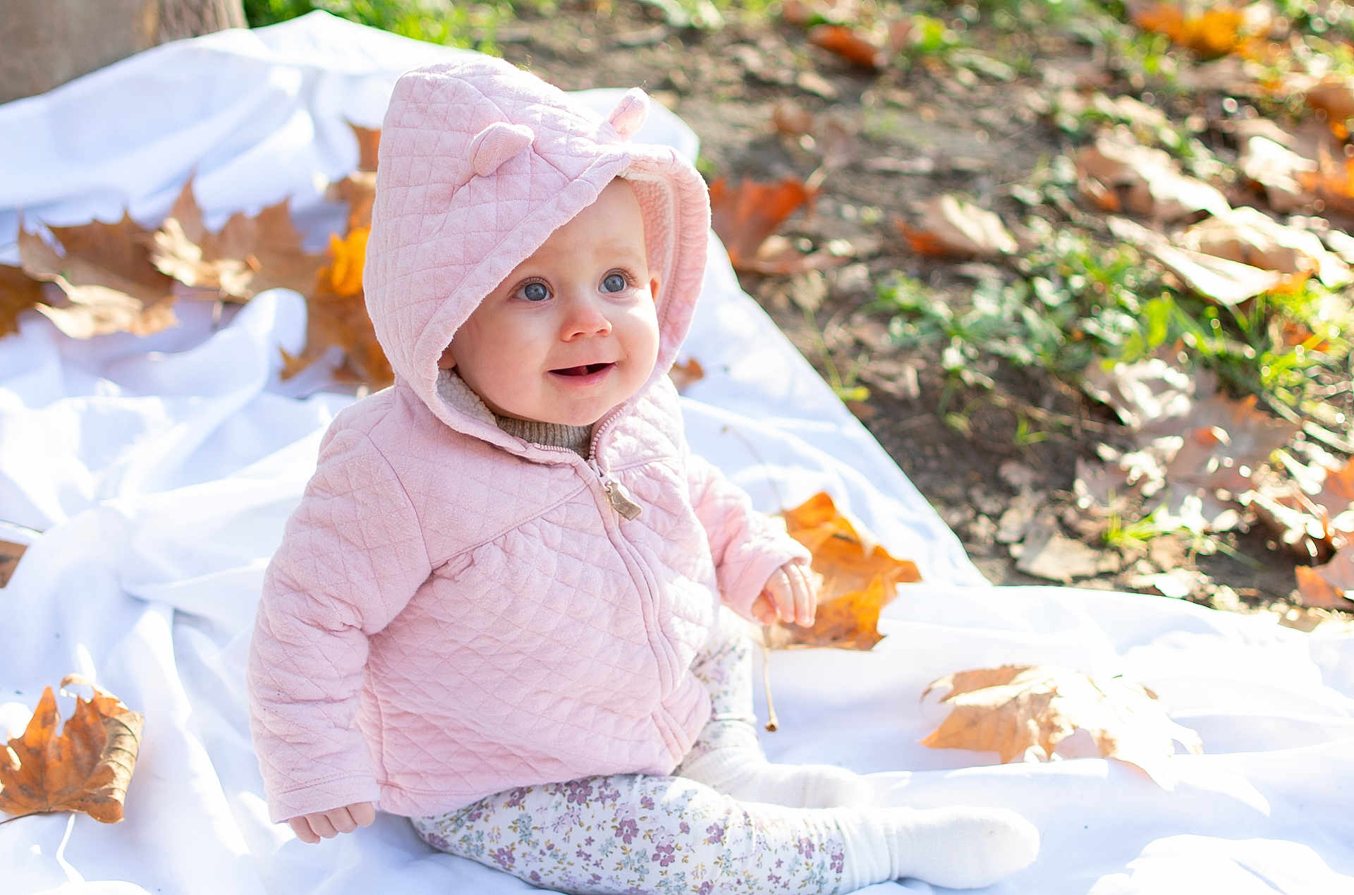Meïlly a rejoint le concours — aidez-le/la à gagner de superbes lots ! autumn_leaves, baby, blanket, child, cute, face, fall, grass, happy, hoodie, nature, outdoor, person, pink_clothing, portrait, seasonal, sitting, smile, sunlight, warm_clothing