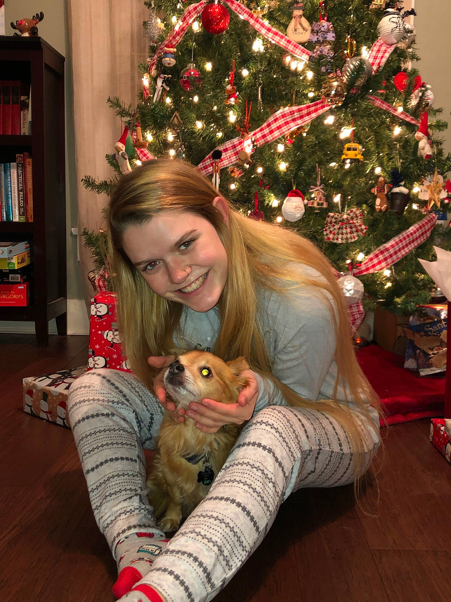 Miller is registered to the contest to win money with this photo: christmas, christmas_decoration, christmas_eve, christmas_ornament, christmas_tree, event, fawn, holiday, interior_design, room, tree