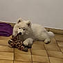 puppy, dog, toy, plush_toy, giraffe, white_fur, floor, tile_floor, indoor, pet, animal, lying_down, cute, young_dog, playful, fur, ears, nose, paws, background