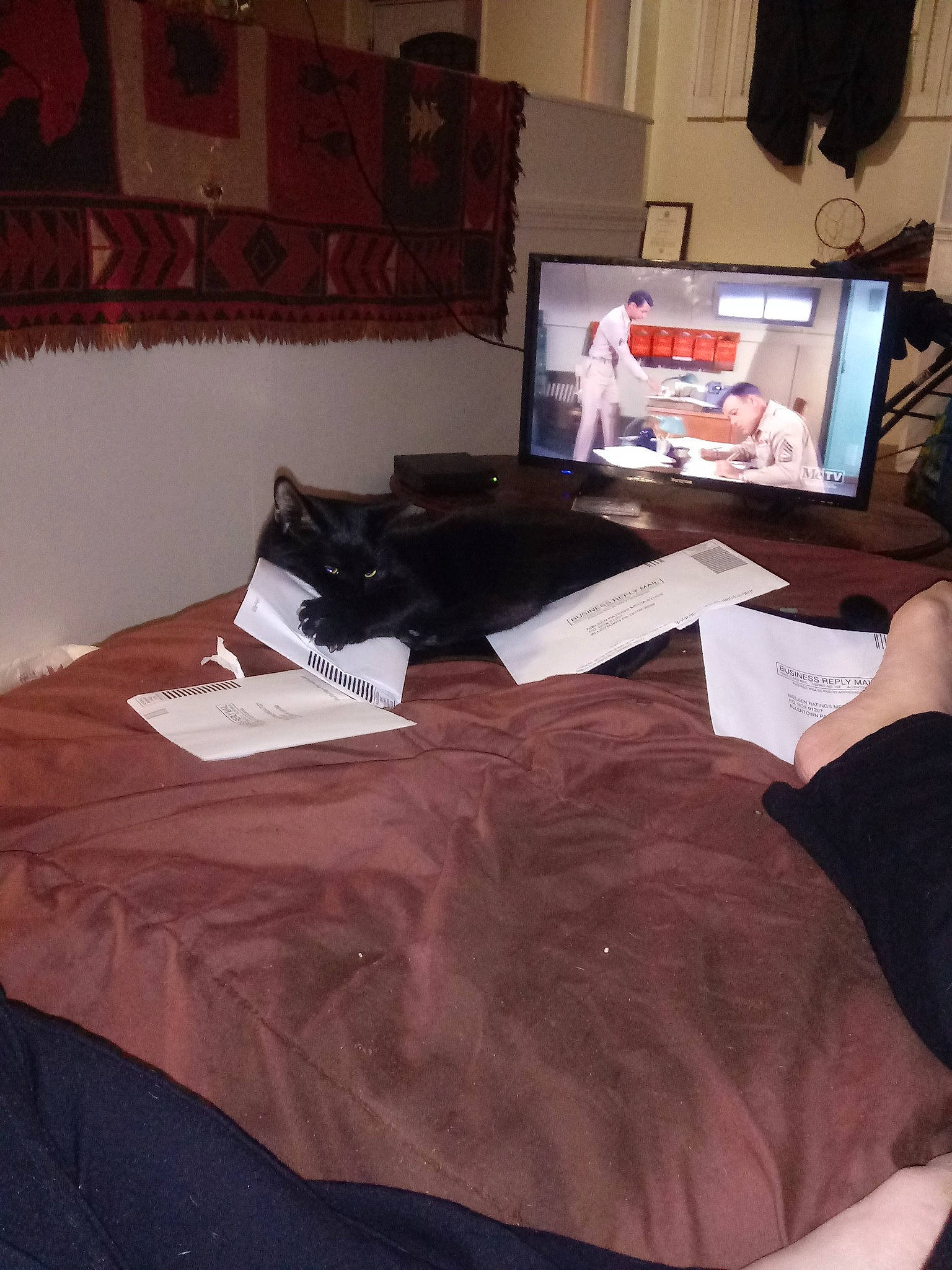 Bella joined the competition — help win amazing prizes! bed, bed_sheet, black, desk, electronic_device, floor, flooring, furniture, mattress, person, room, table, textile