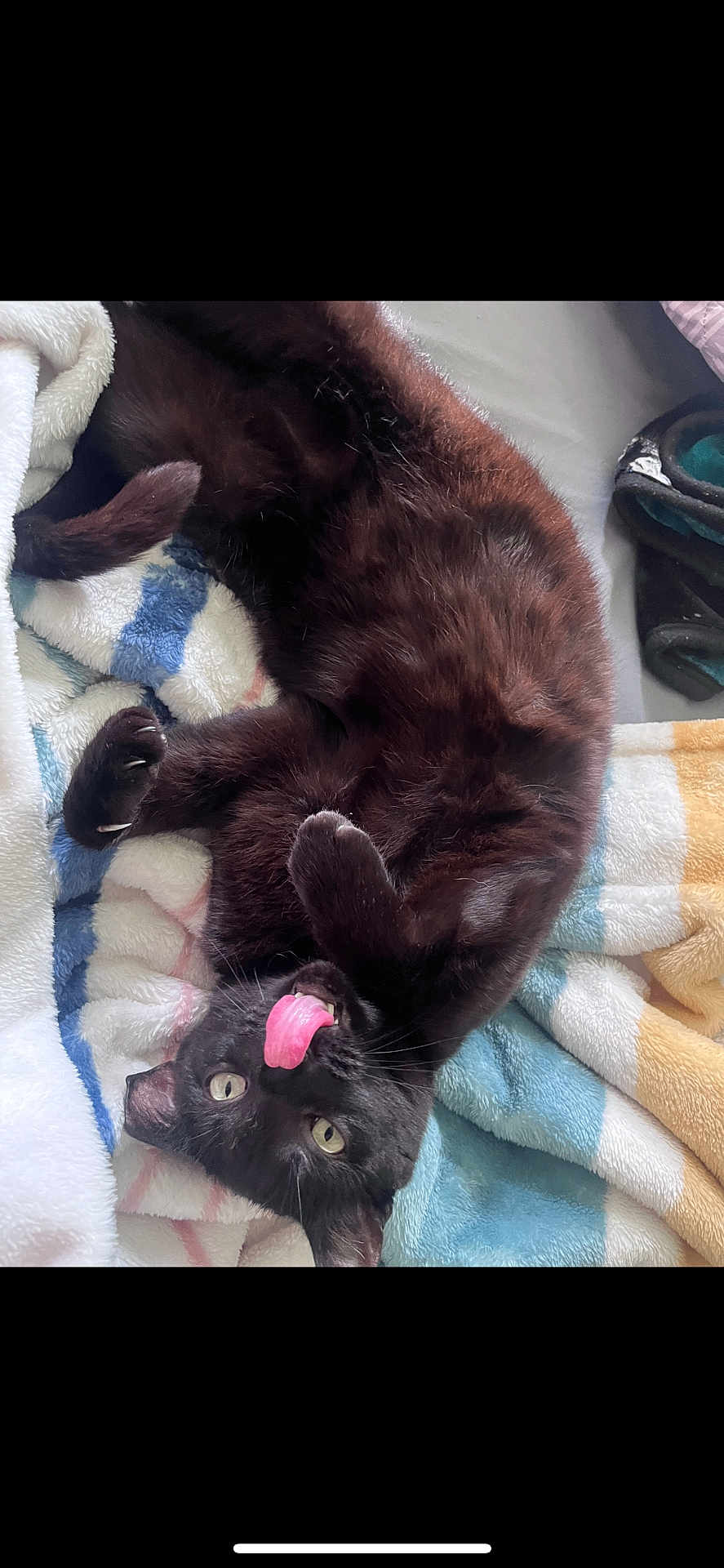 Precious