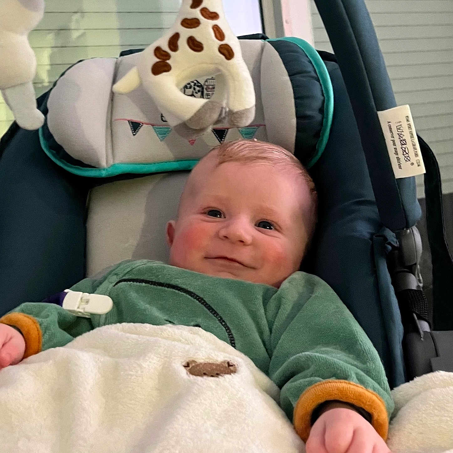 Elio participe au concours pour gagner de l'argent avec cette photo : baby, blanket, car, car_interior, carseat, crib, cushion, face, furniture, happy, head, homedecor, infantbed, newborn, person, photography, portrait, smile, transportation, vehicle