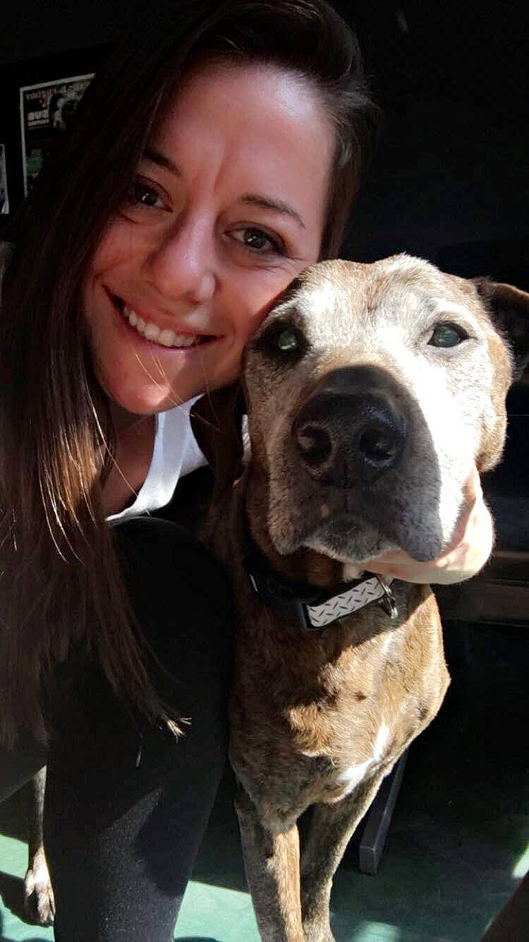 Bubby joined the competition — help win amazing prizes! american_pit_bull_terrier, american_staffordshire_terrier, bandog, canidae, carnivore, dog, dog_breed, fawn, mammal, mountain_cur, non_sporting_group, nose, perro_de_presa_canario, photography, pit_bull, selfie, smile, snout