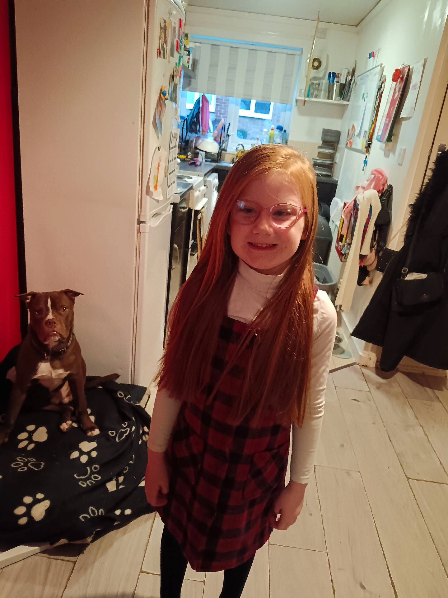 Elisa is registered to the contest to win money with this photo: accessories, adult, animal, appliance, canine, clothing, device, dog, dress, electricaldevice, female, girl, glasses, hardwood, person, pet, refrigerator, teen, woman, wood